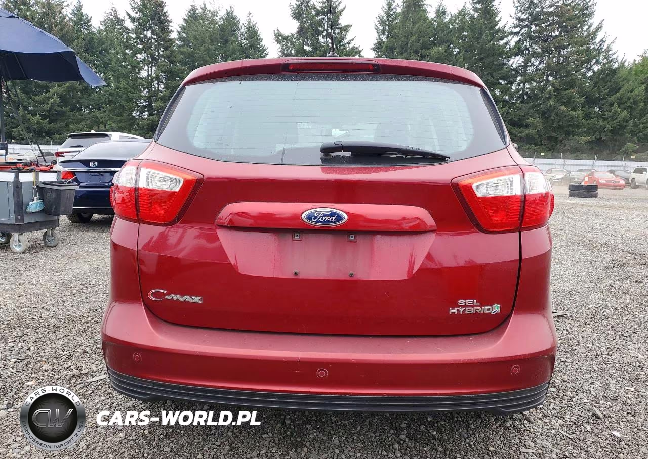 2015 Ford C-Max Sel VIN:1FADP5BU8FL102217 - 6