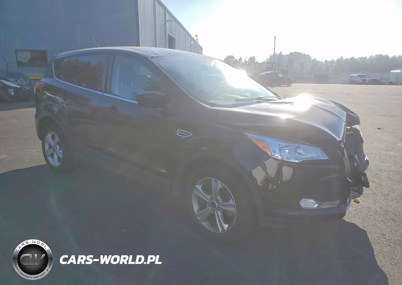 2016 Ford Escape Se VIN:1FMCU0GX8GUB62574 - 4