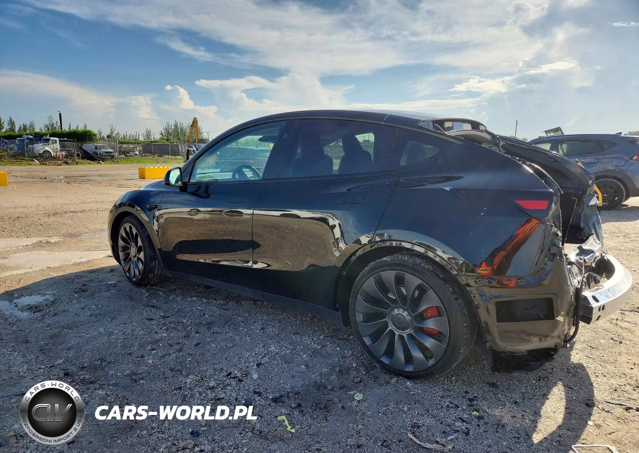 2024 Tesla Model Y VIN:7SAYGDEF1RF057425 - 2
