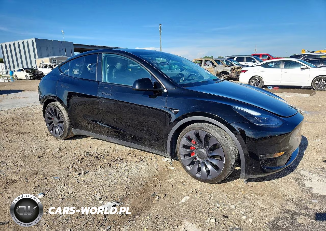 2024 Tesla Model Y VIN:7SAYGDEF1RF057425 - 4