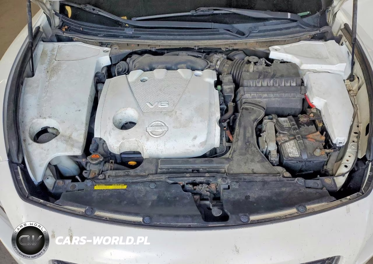 2009 Nissan Maxima 3.5 S VIN:1N4AA51E49C824089 - 11