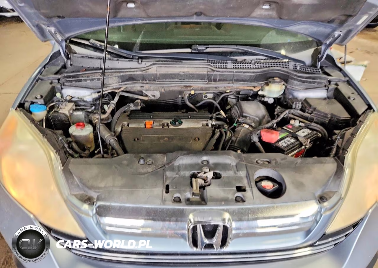 2009 Honda Cr-V Exl VIN:5J6RE387X9L035310 - 12