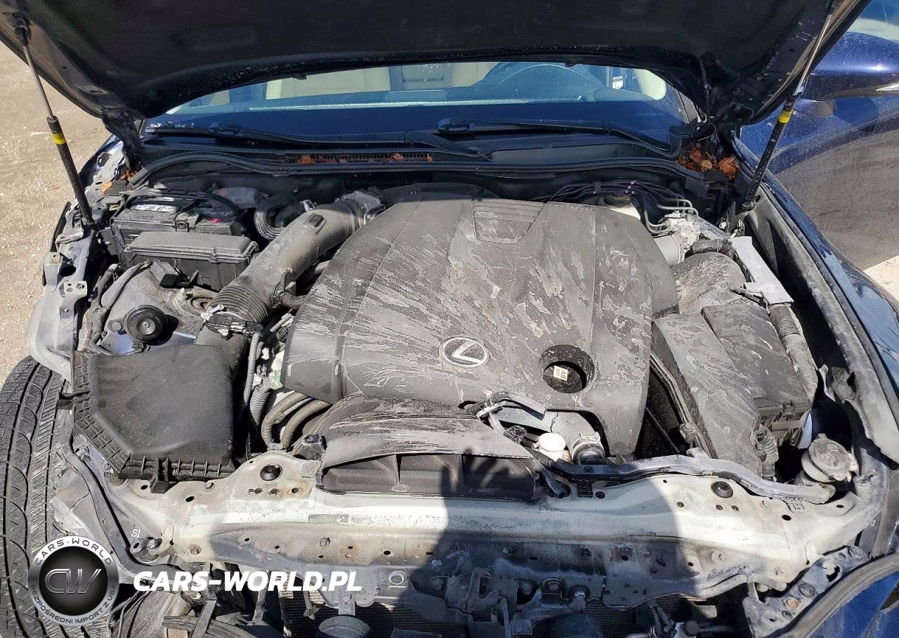 2014 Lexus Is 250 VIN:JTHBF1D24E5028398 - 11