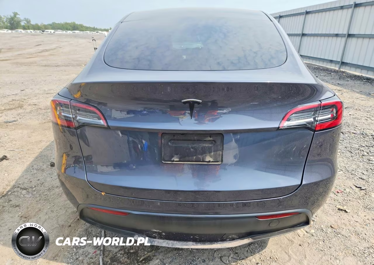 2023 Tesla Model Y VIN:7SAYGDED1PF943952 - 6