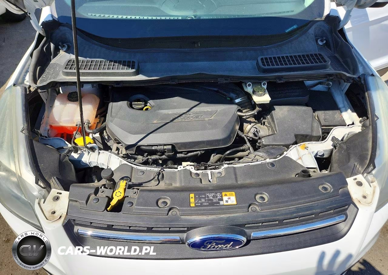 2014 Ford Escape Se VIN:1FMCU0GX9EUD32356 - 11