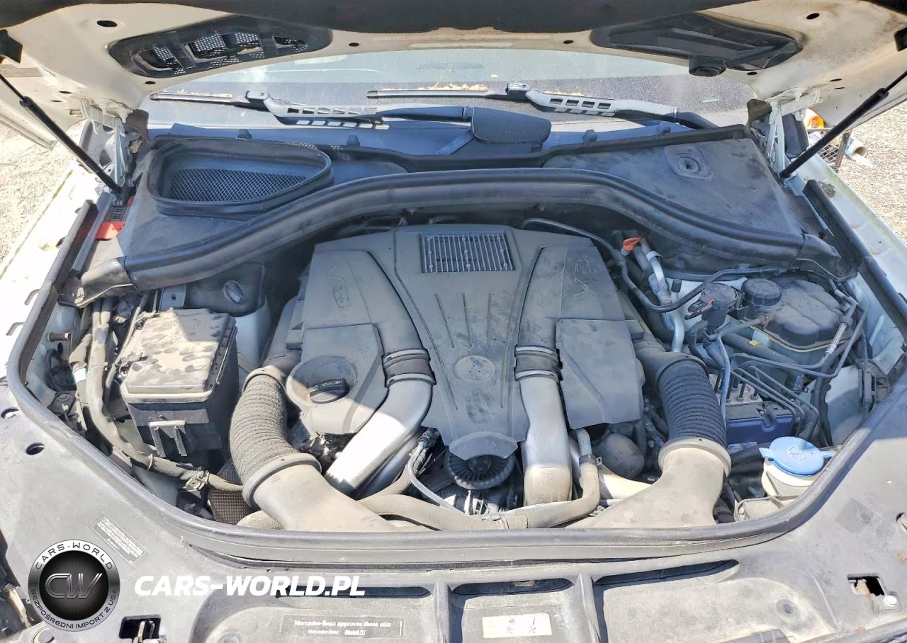 2014 Mercedes-Benz Gl 450 4Matic VIN:4JGDF7CE9EA332273 - 11