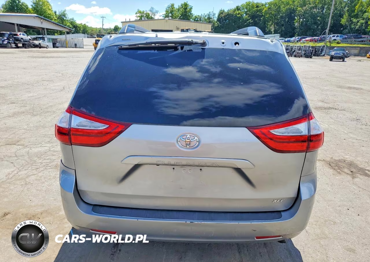 2016 Toyota Sienna Xle 8-Passenger VIN:5TDYK3DC2GS749800 - 6