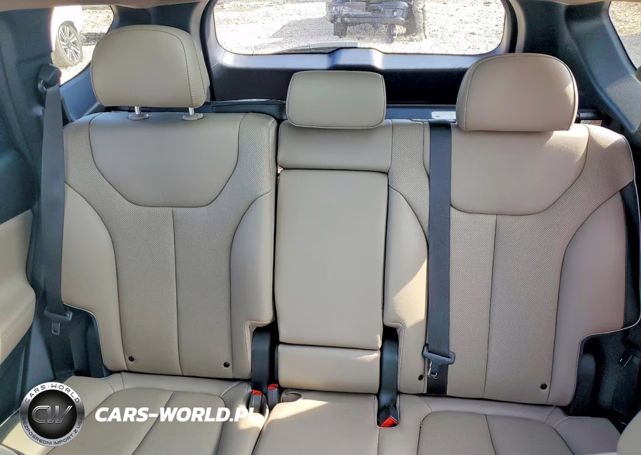 2023 Hyundai Santa Fe Limited VIN:5NMS4DALXPH654852 - 10