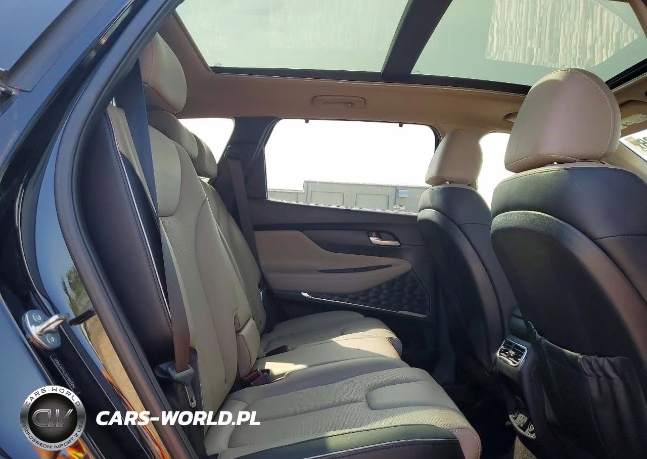 2023 Hyundai Santa Fe Limited VIN:5NMS4DALXPH654852 - 11