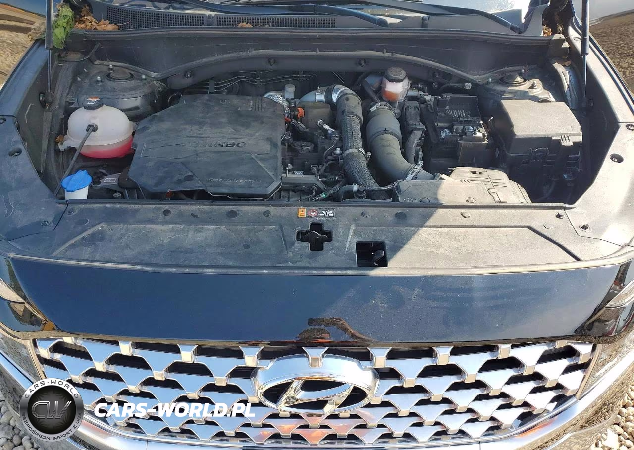 2023 Hyundai Santa Fe Limited VIN:5NMS4DALXPH654852 - 12