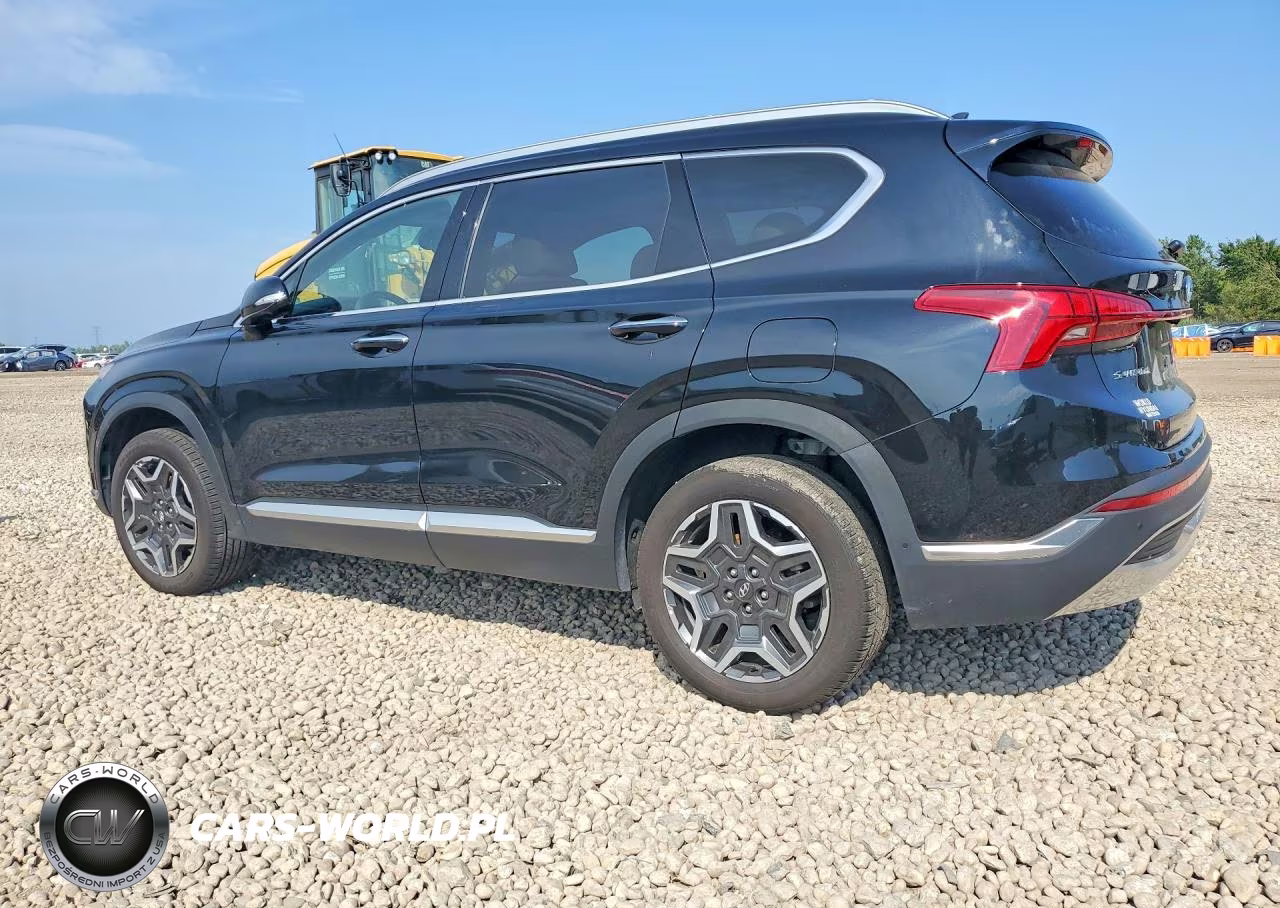 2023 Hyundai Santa Fe Limited VIN:5NMS4DALXPH654852 - 2