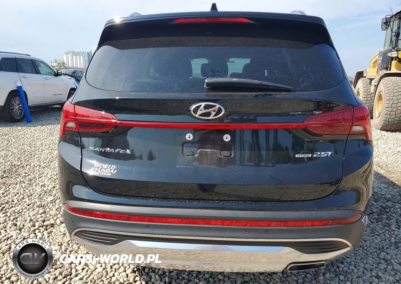 2023 Hyundai Santa Fe Limited VIN:5NMS4DALXPH654852 - 6