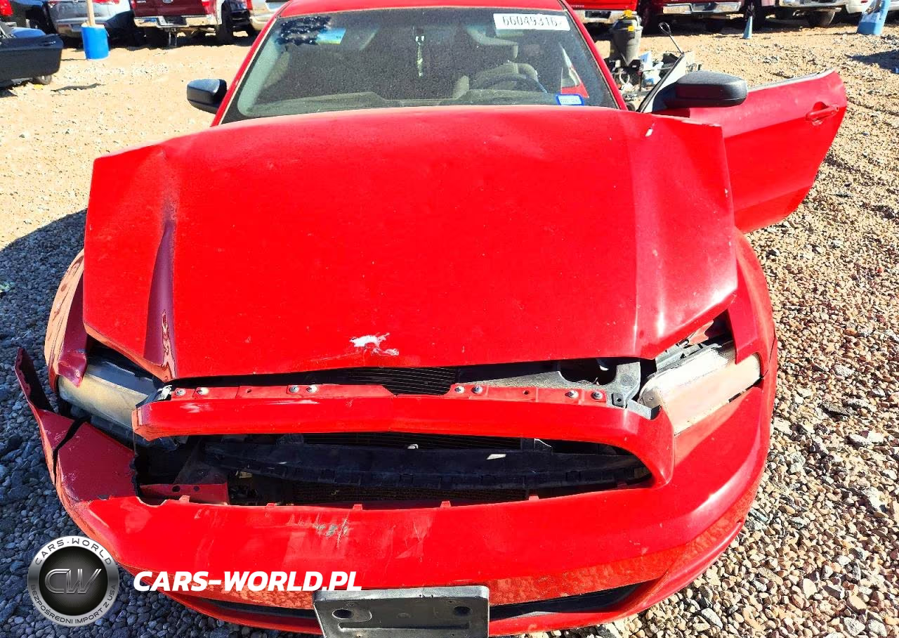 2014 Ford Mustang VIN:1ZVBP8AM3E5268536 - 11