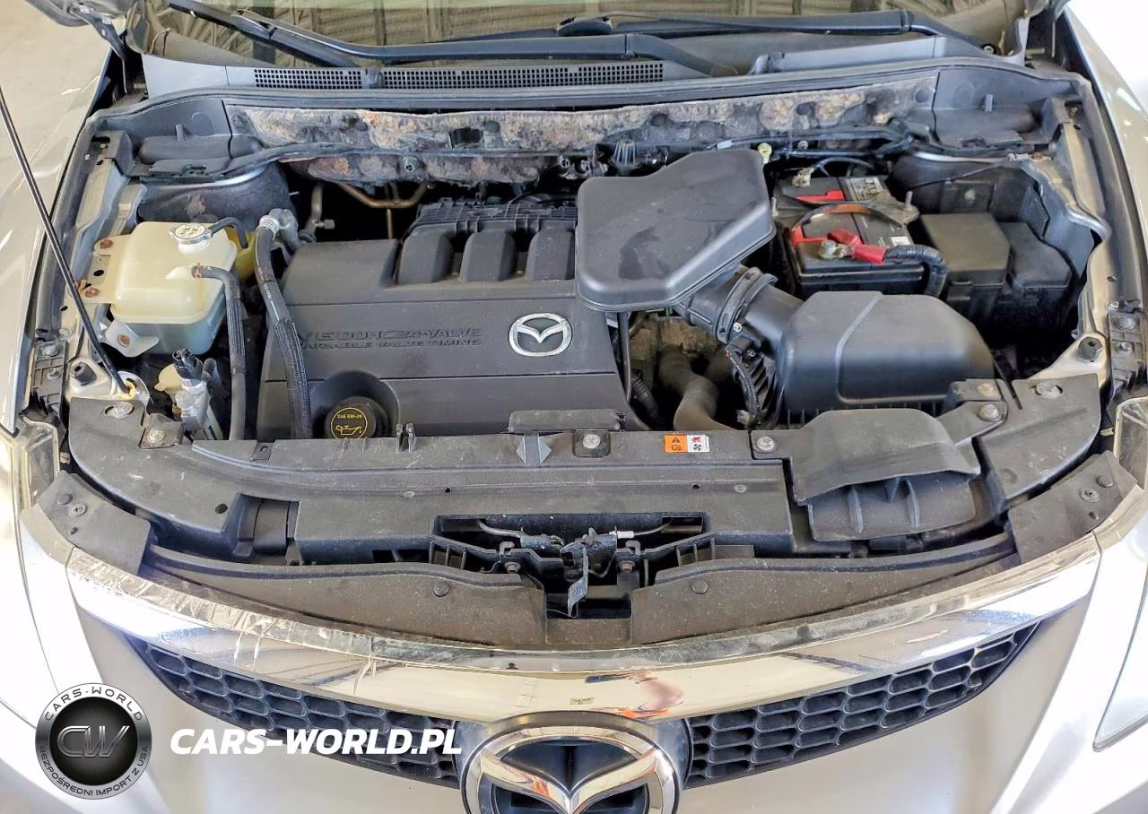 2009 Mazda Cx-9 VIN:JM3TB38A790178448 - 12