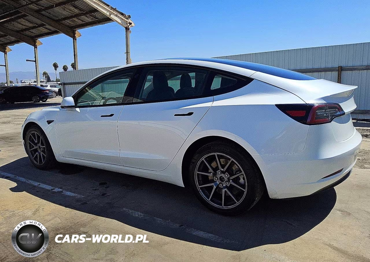 2023 Tesla Model 3 VIN:5YJ3E1EA2PF447222 - 2
