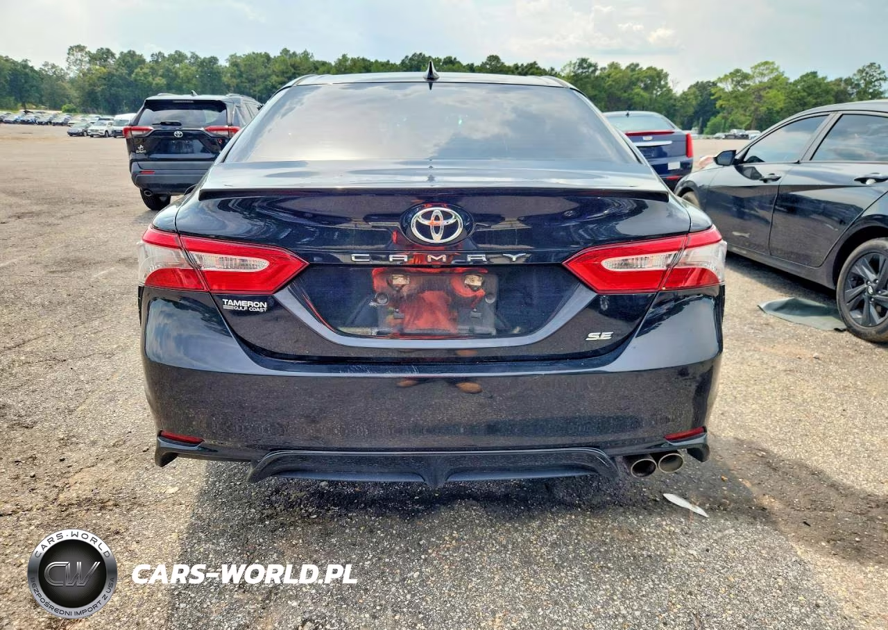 2019 Toyota Camry Se VIN:4T1B11HK9KU785661 - 6