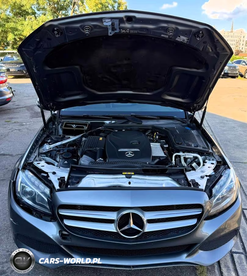 2017 Mercedes-Benz C 300 4Matic VIN:55SWF4KB0HU199626 - 5