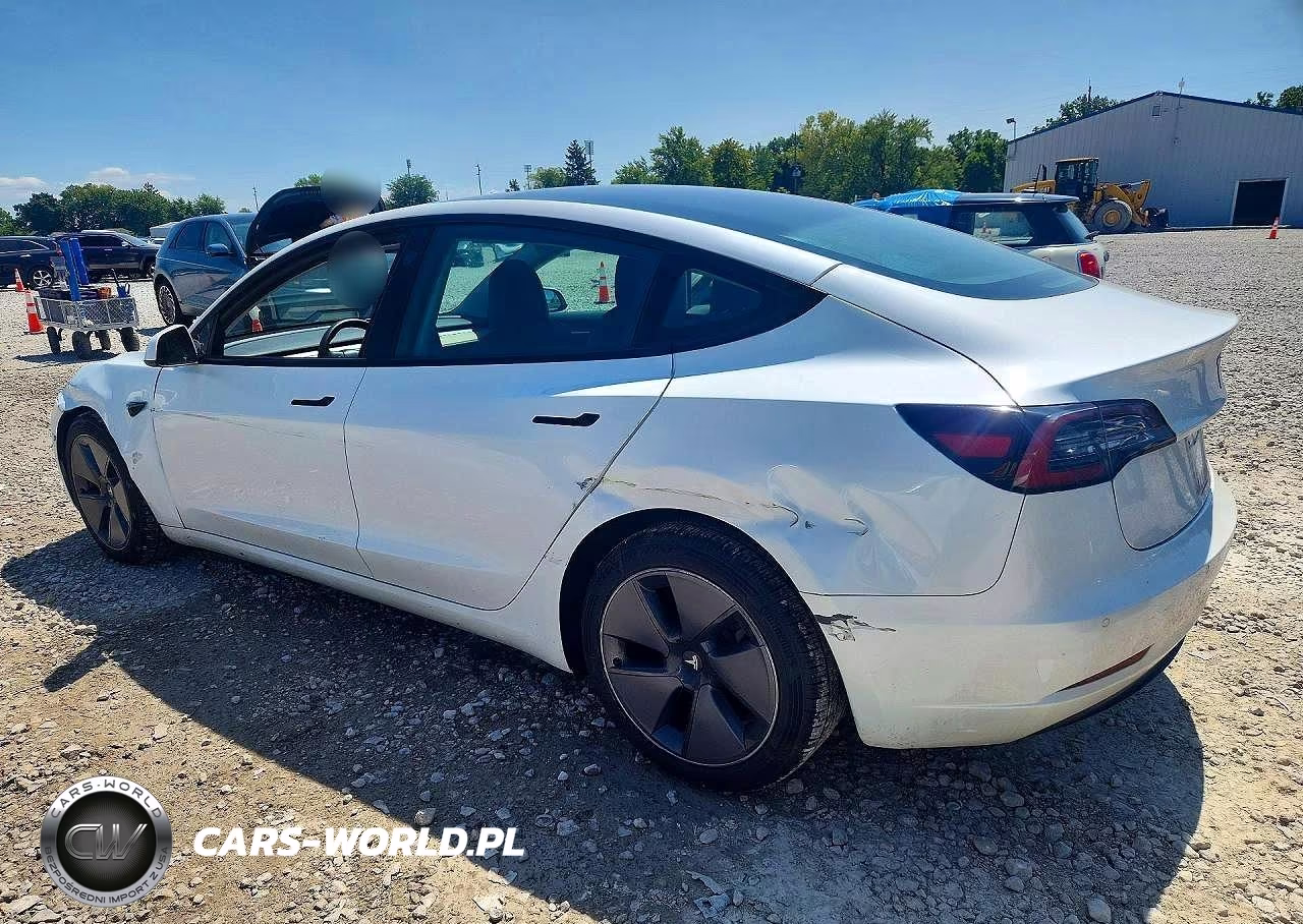 2021 Tesla Model 3 VIN:5YJ3E1EA0MF062821 - 2