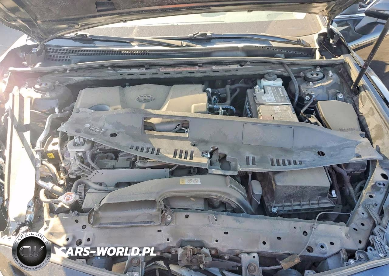 2019 Toyota Camry Se VIN:4T1B11HK1KU688454 - 11