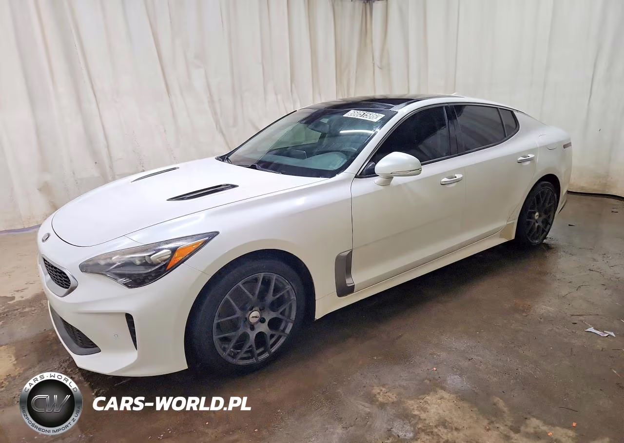 2019 Kia Stinger Premium VIN:KNAE25LA9K6047655 - 1