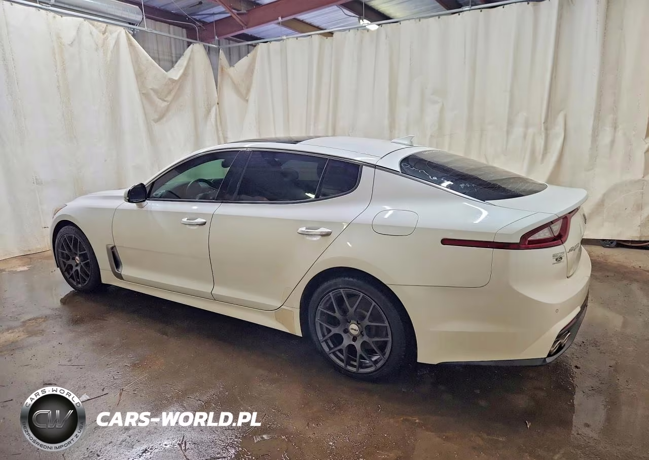 2019 Kia Stinger Premium VIN:KNAE25LA9K6047655 - 2