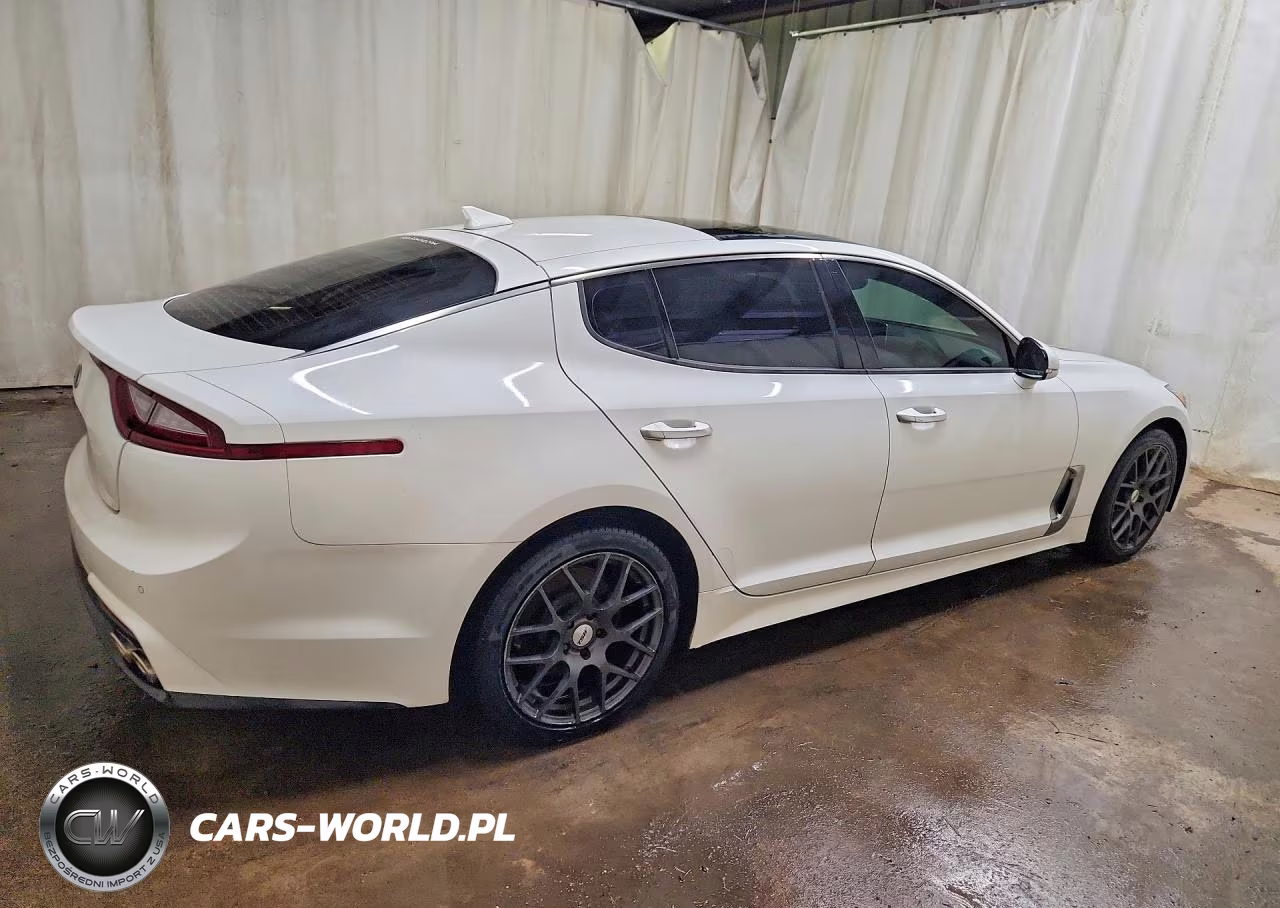 2019 Kia Stinger Premium VIN:KNAE25LA9K6047655 - 3