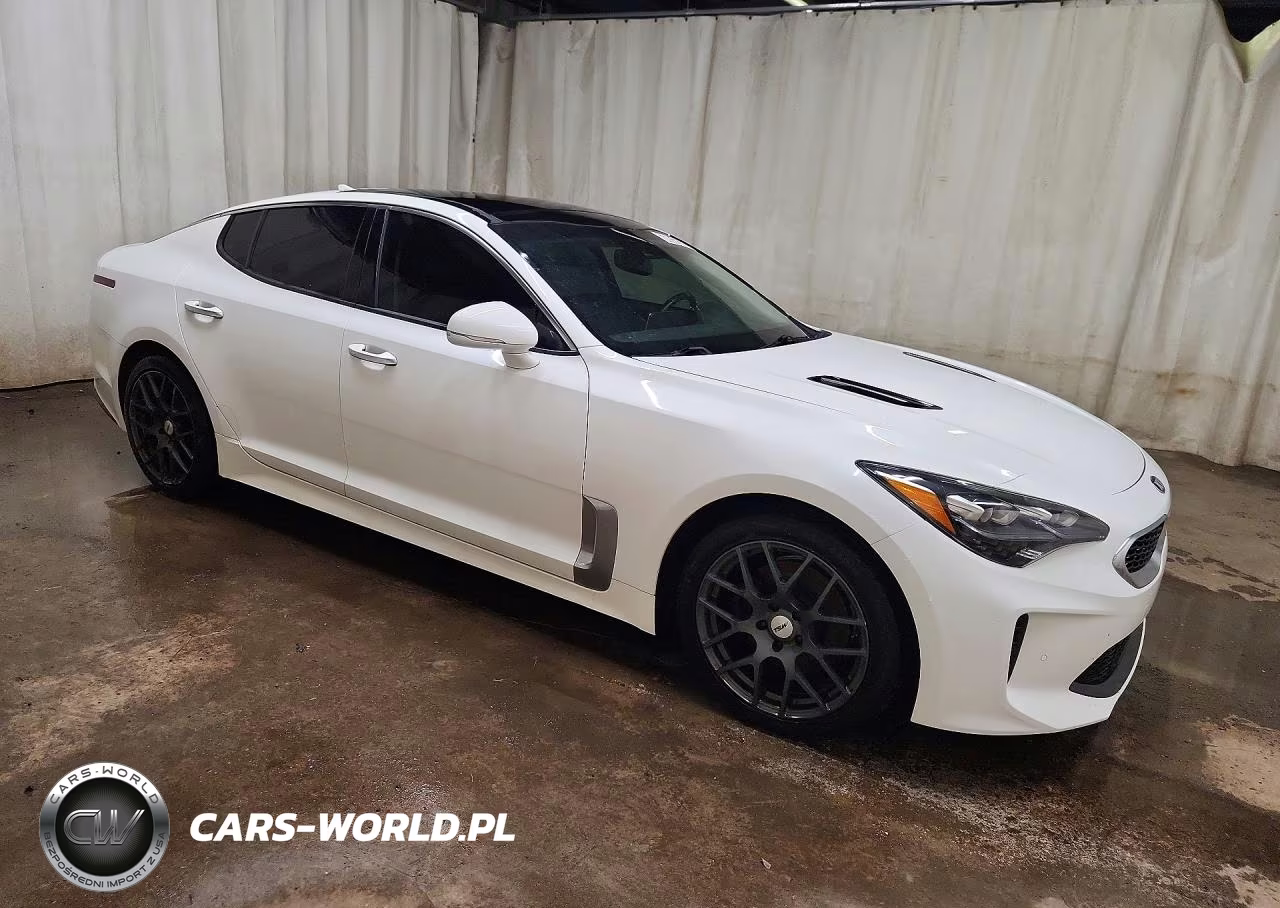 2019 Kia Stinger Premium VIN:KNAE25LA9K6047655 - 4