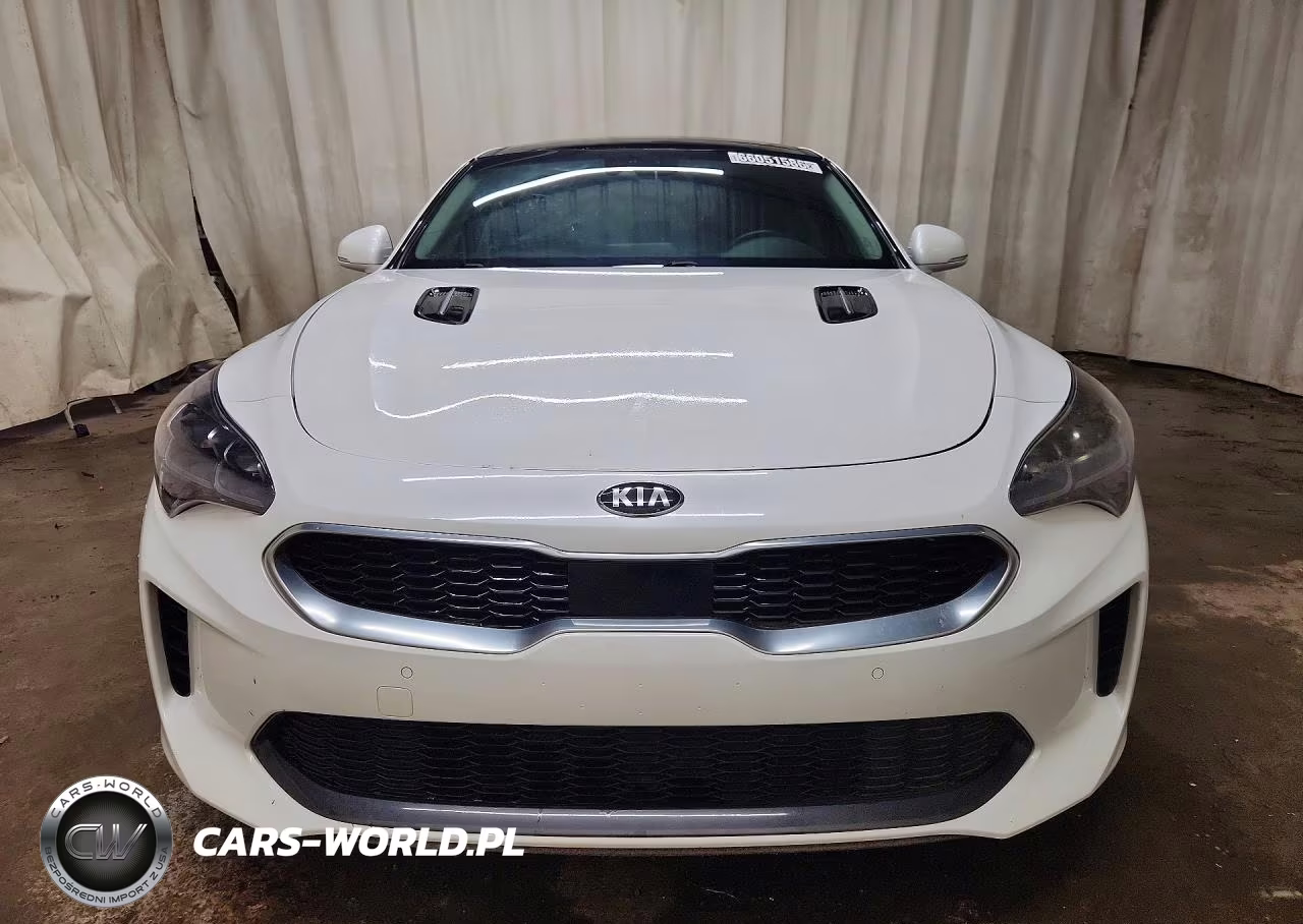 2019 Kia Stinger Premium VIN:KNAE25LA9K6047655 - 5