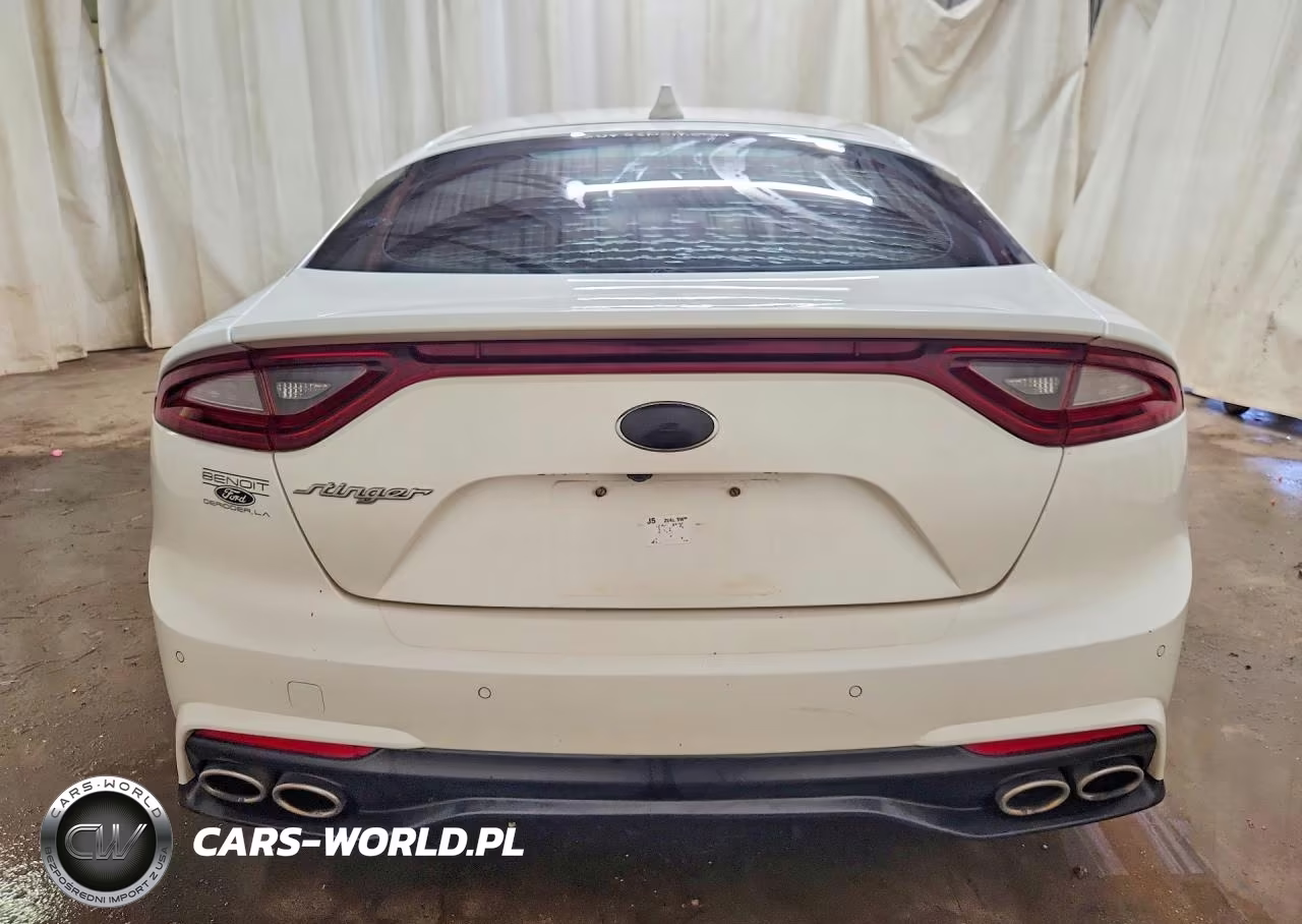 2019 Kia Stinger Premium VIN:KNAE25LA9K6047655 - 6