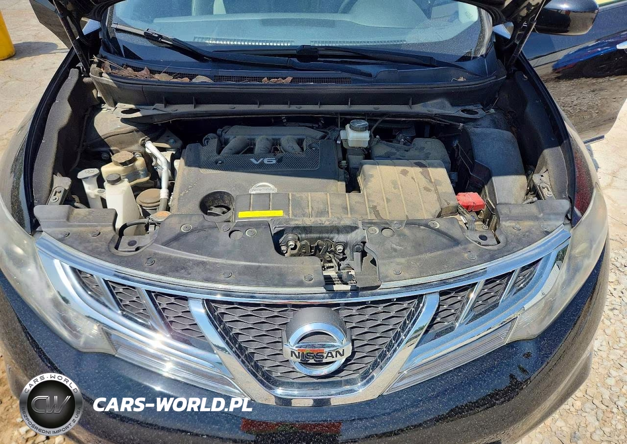 2013 Nissan Murano S VIN:JN8AZ1MW7DW301919 - 11