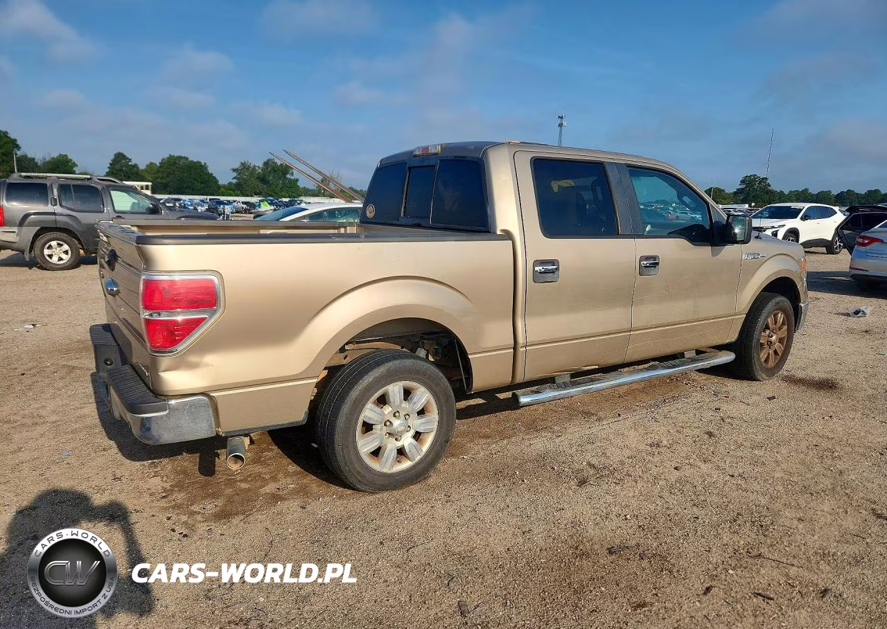 2011 Ford F150 Supercrew VIN:1FTEW1CM9BFA91956 - 3