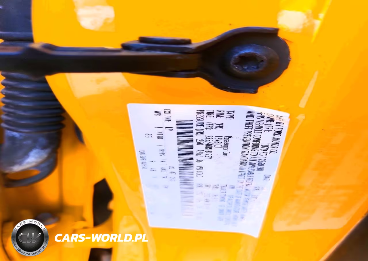 2013 Ford Focus St VIN:1FADP3L98DL126352 - 12