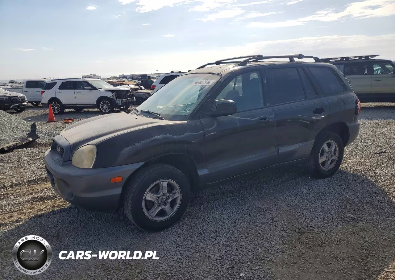 2004 Hyundai Santa Fe