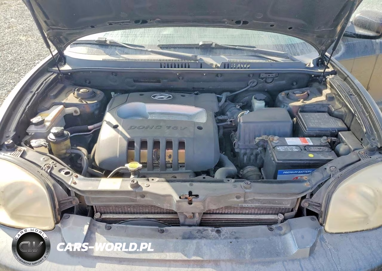 2004 Hyundai Santa Fe VIN:KM8SB12B54U569587 - 12