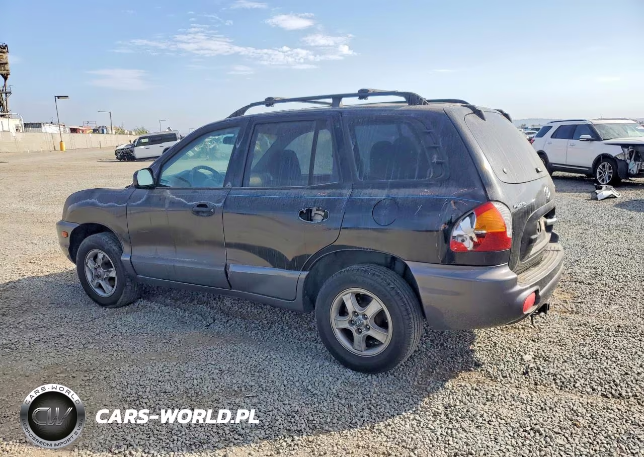 2004 Hyundai Santa Fe VIN:KM8SB12B54U569587 - 2