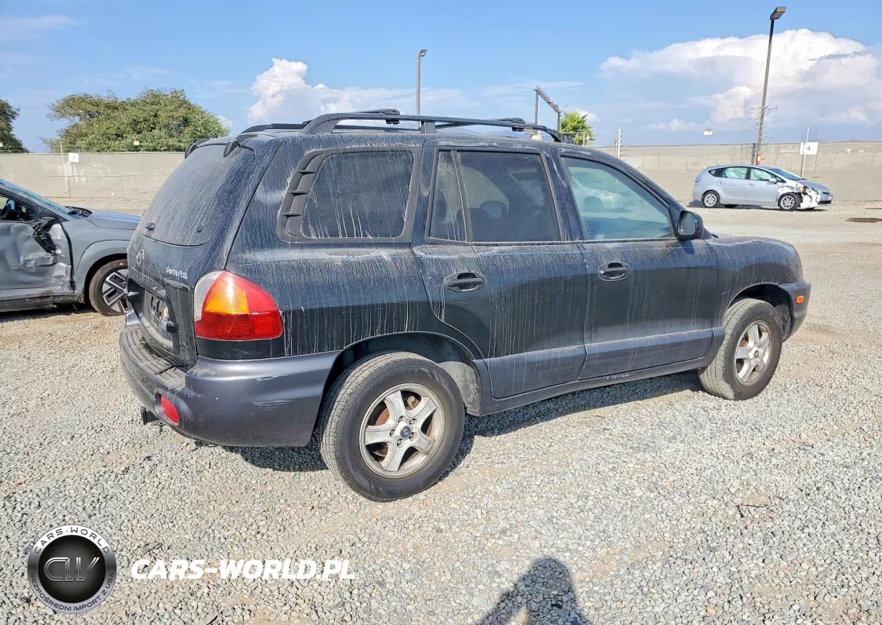 2004 Hyundai Santa Fe VIN:KM8SB12B54U569587 - 3