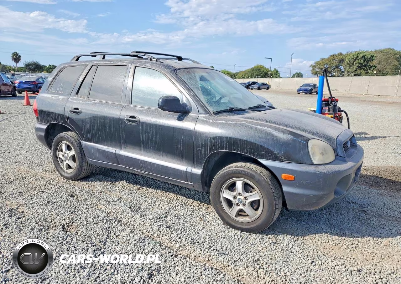 2004 Hyundai Santa Fe VIN:KM8SB12B54U569587 - 4