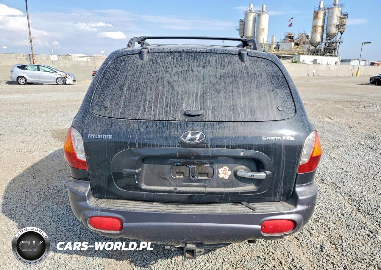2004 Hyundai Santa Fe VIN:KM8SB12B54U569587 - 6