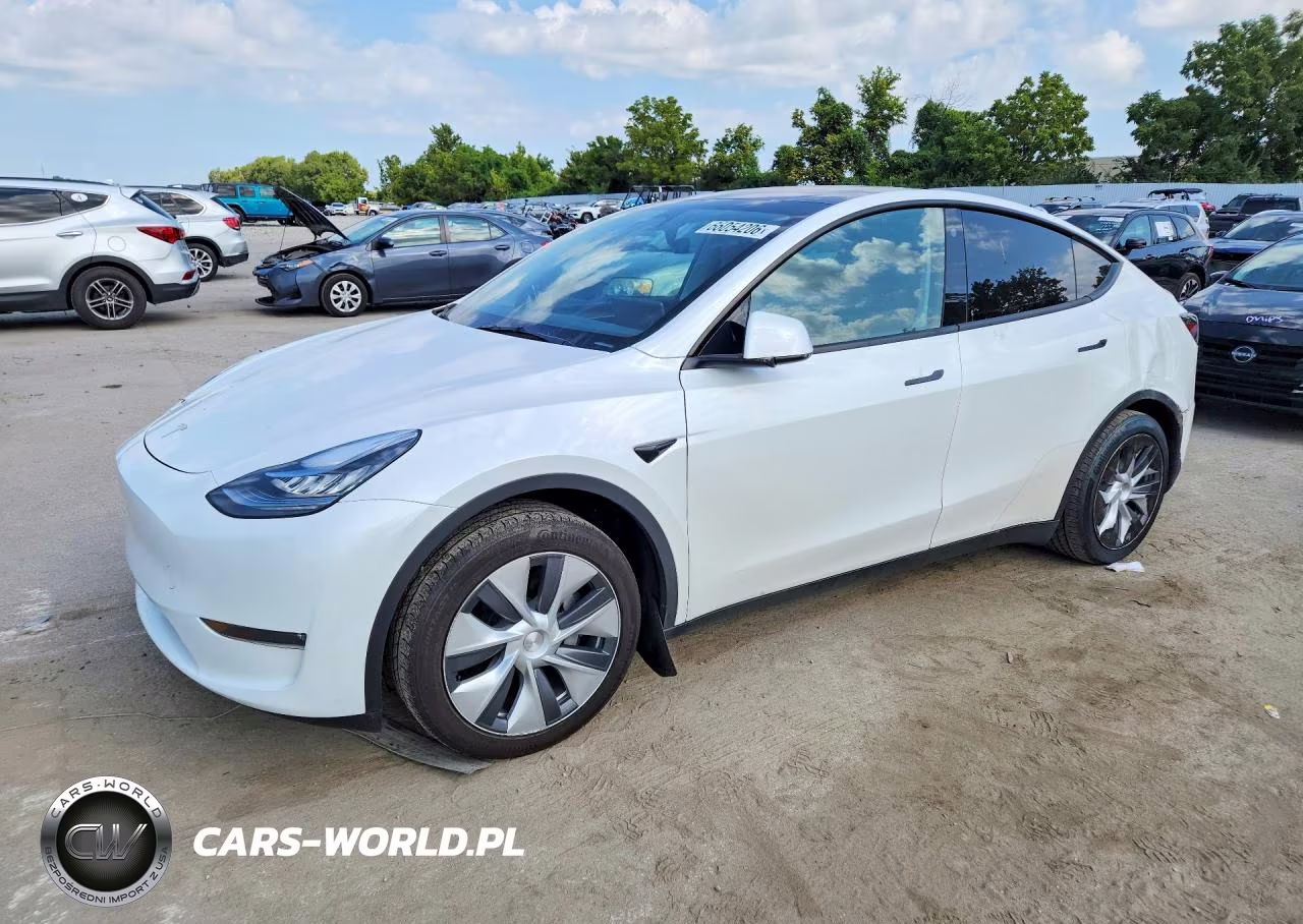 2023 Tesla Model Y VIN:7SAYGDEEXPA082812 - 1