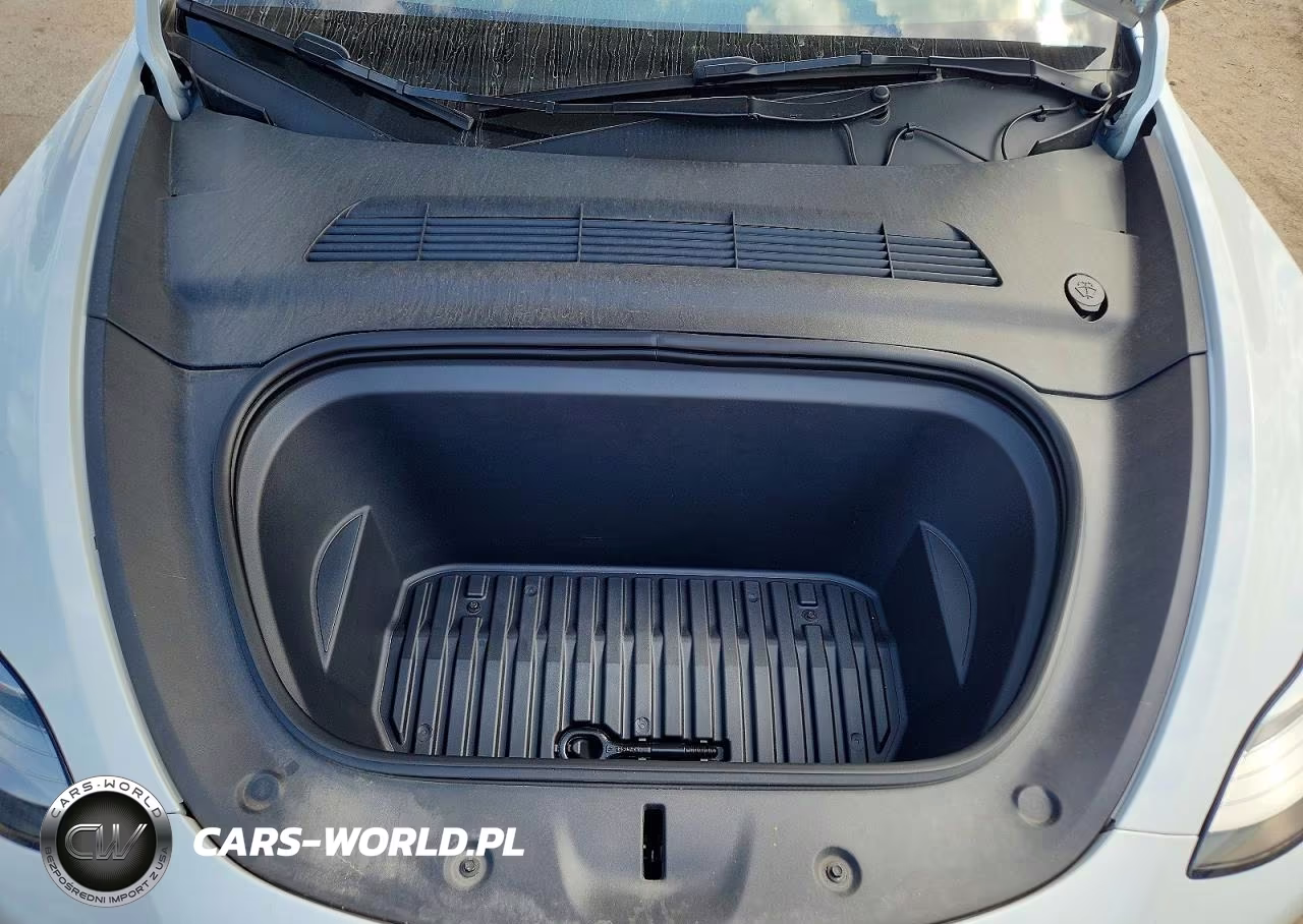 2023 Tesla Model Y VIN:7SAYGDEEXPA082812 - 11