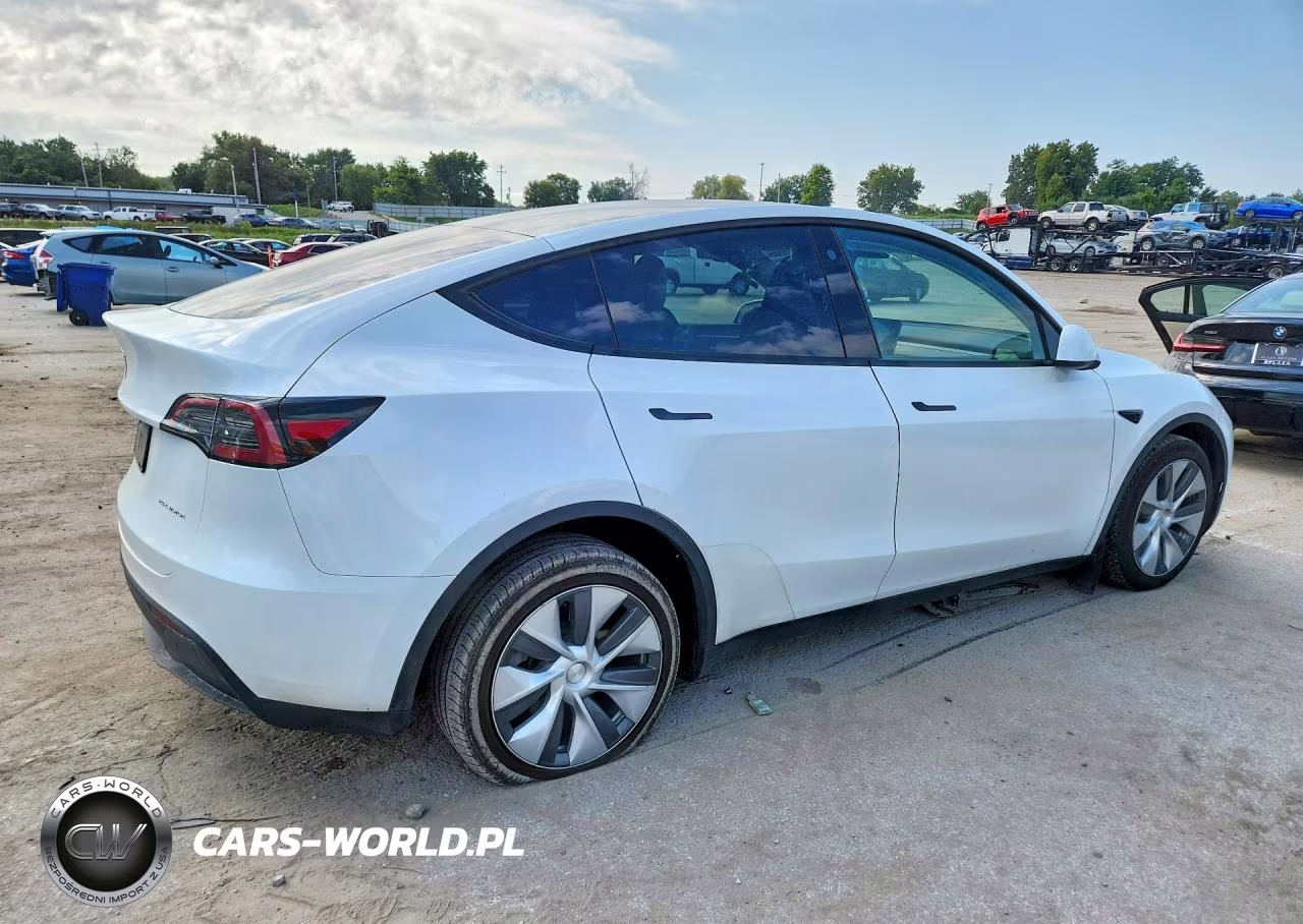 2023 Tesla Model Y VIN:7SAYGDEEXPA082812 - 3