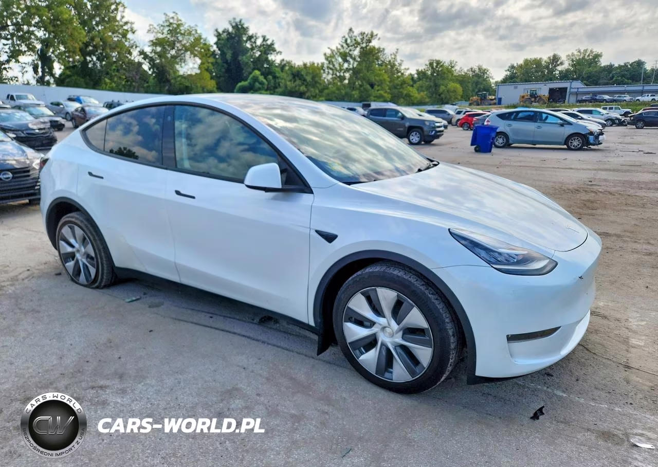 2023 Tesla Model Y VIN:7SAYGDEEXPA082812 - 4