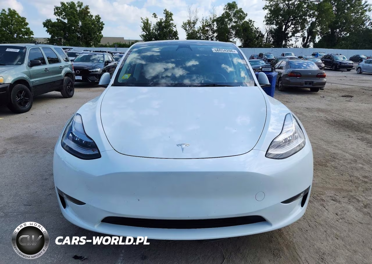 2023 Tesla Model Y VIN:7SAYGDEEXPA082812 - 5