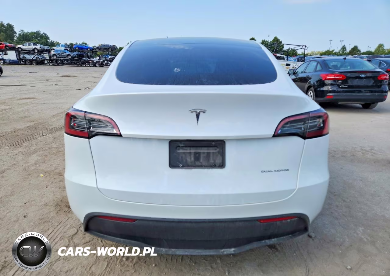 2023 Tesla Model Y VIN:7SAYGDEEXPA082812 - 6