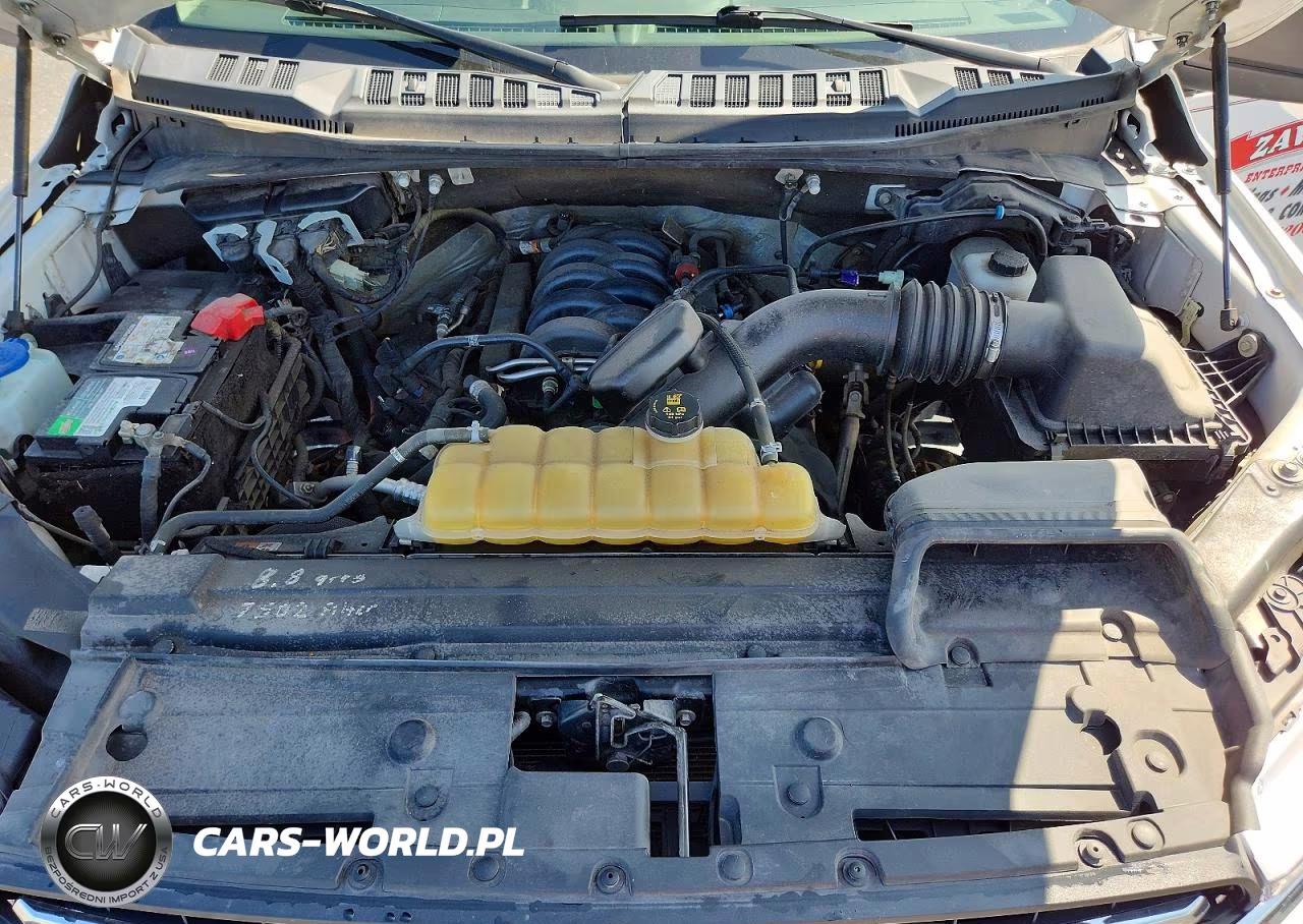 2020 Ford F150 Supercrew VIN:1FTFW1E5XLKE44823 - 11