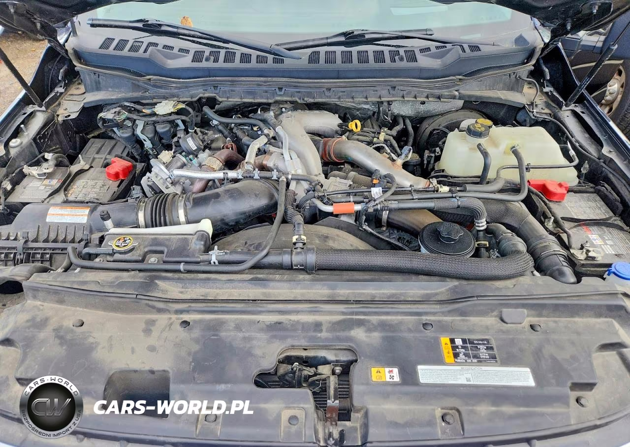 2023 Ford F350 Super Duty VIN:1FT8W3BM1PED70616 - 11