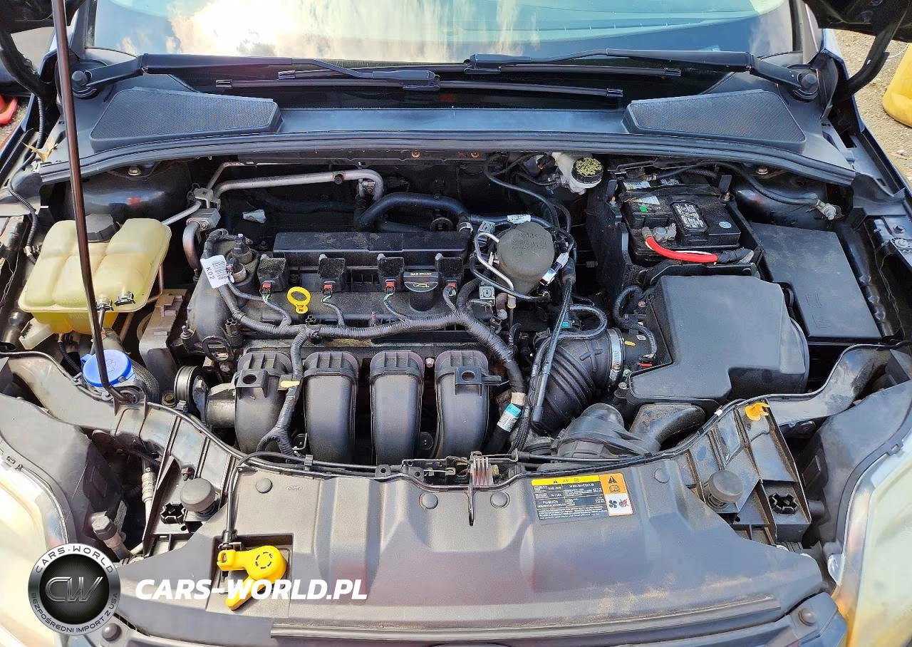 2013 Ford Focus Se VIN:1FADP3F2XDL216147 - 11
