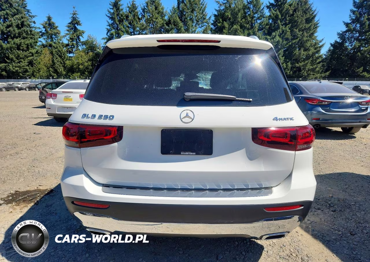 2020 Mercedes-Benz Glb 250 4Matic VIN:W1N4M4HB6LW020637 - 6