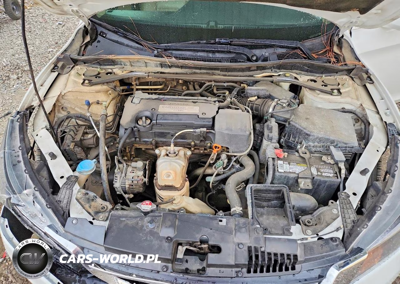 2014 Honda Accord Exl VIN:1HGCR2F82EA009040 - 11