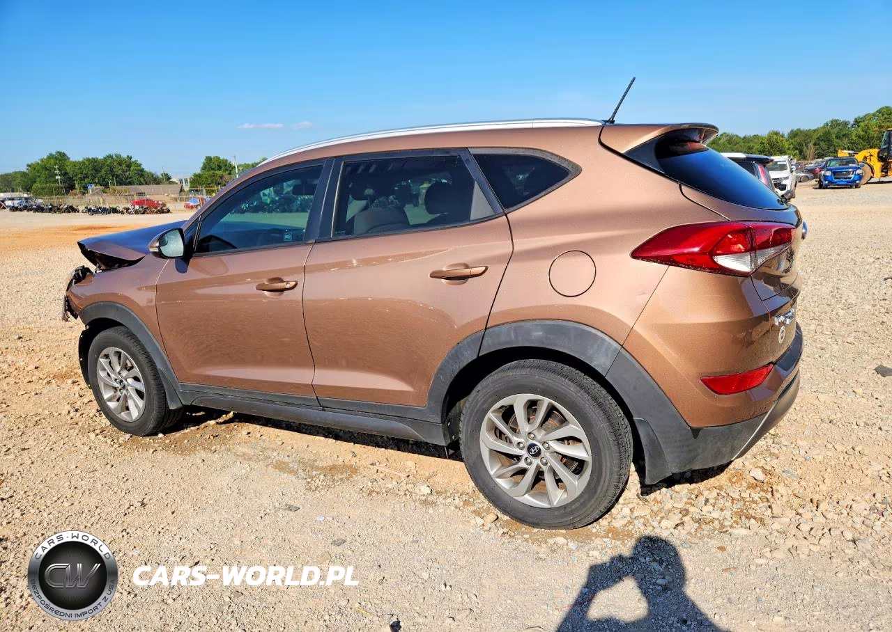 2016 Hyundai Tucson Eco VIN:KM8J33A29GU107205 - 2